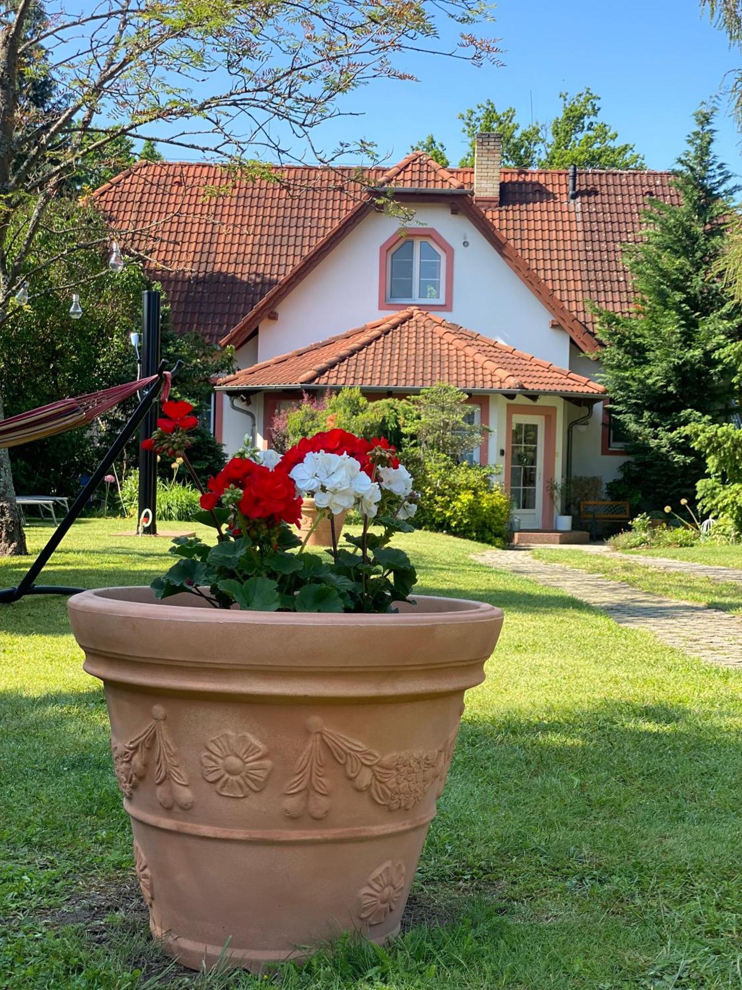 Vila Evio Trzeboń Zewnętrze zdjęcie