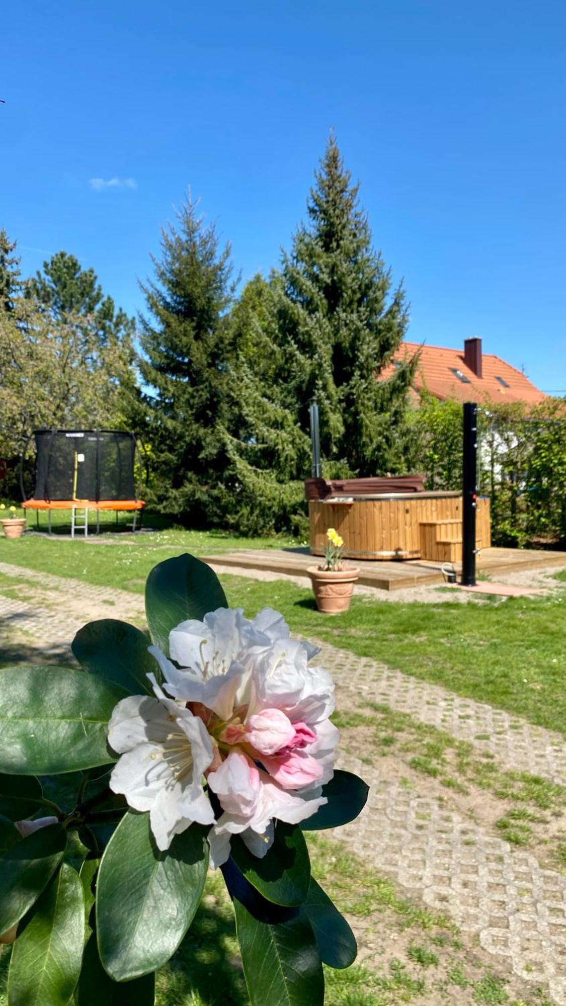 Vila Evio Trzeboń Zewnętrze zdjęcie